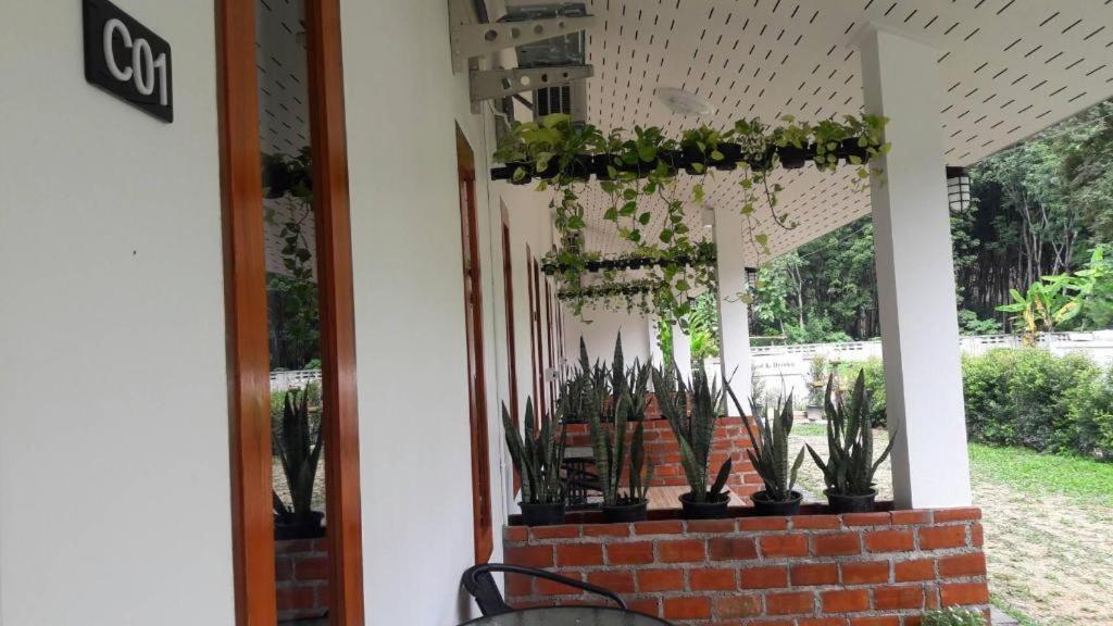 โคซี่ เฮาส์ เชียงราย Hotel ภายนอก รูปภาพ